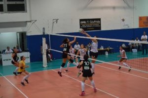 Alademia Volley