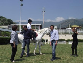 Un cavallo per amico