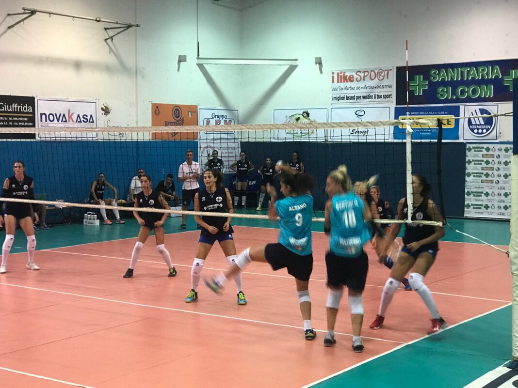 Amando Volley