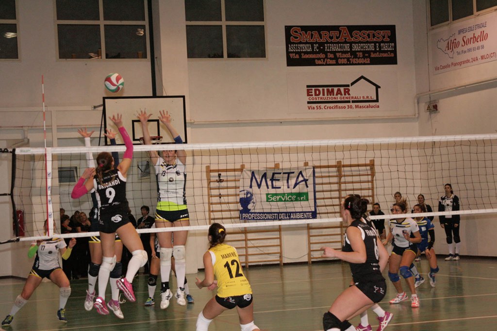 Sarecena Volley