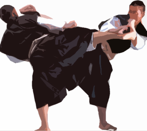 Shorinji Kempo generico