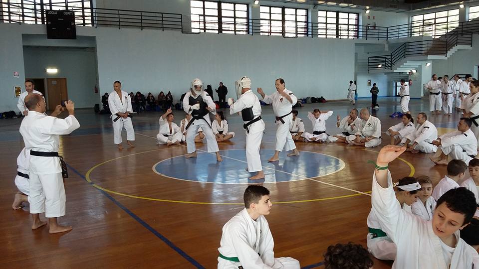 Shorinji Kempo