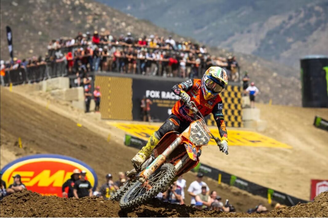 Tony Cairoli