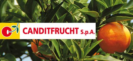 Logo Canditfrucht