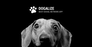 dogalize