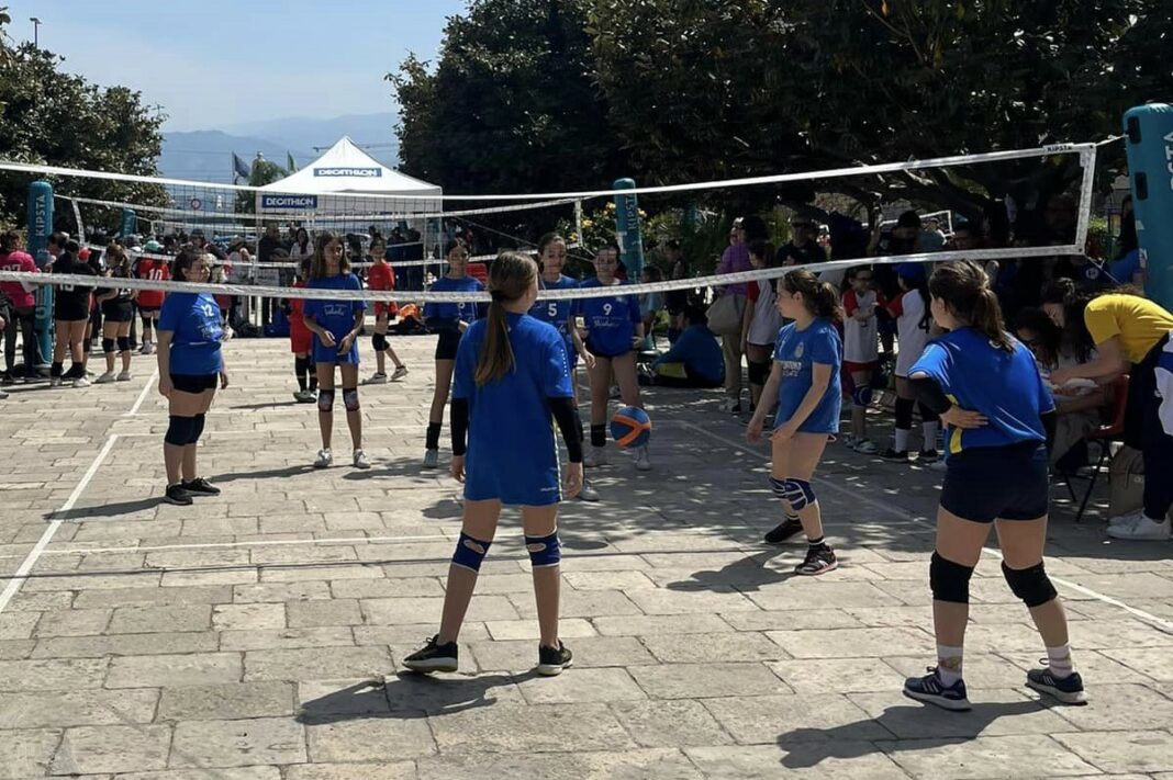 Volley S3