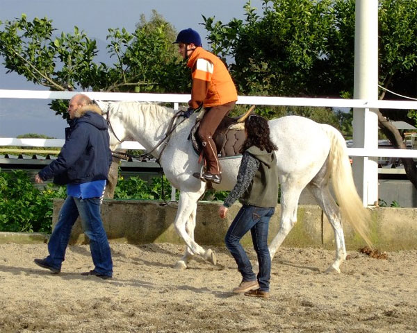 Si rinnova l’appuntamento con “Un Cavallo per Amico” presso il club ippico “La Palma”